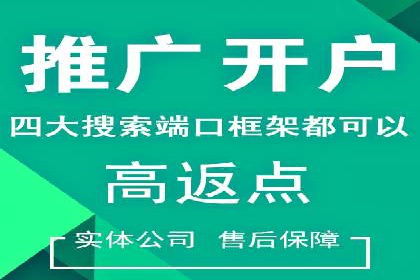 谷歌SEM与移动端优化：某APP的推广策略及效果